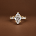 ROYAL MARQUISE