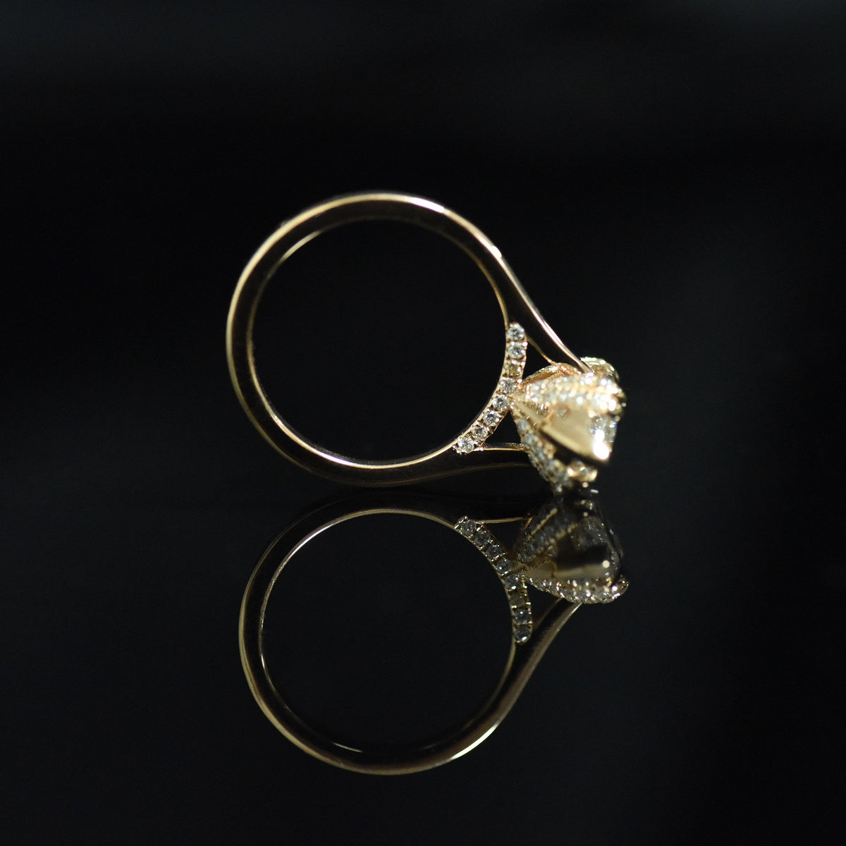 ÉTOILE BRILLANTE