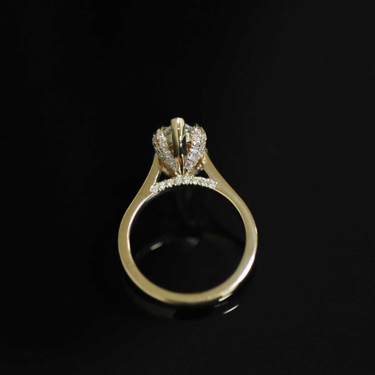 ÉTOILE BRILLANTE